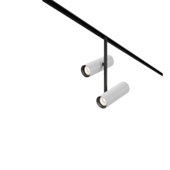 Трековый светильник MAYTONI ELTI DUO TR005-4-2X12W-DS-BW